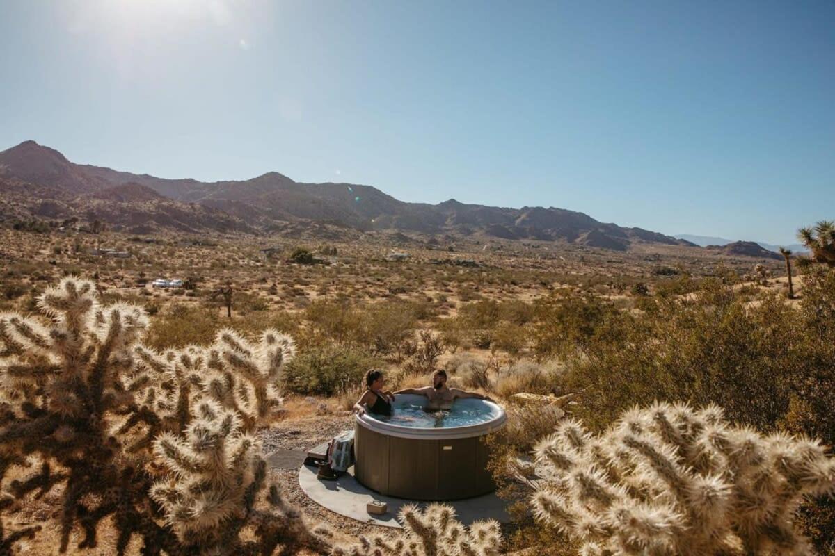 Shelter 1- A Classic- At Joshua Tree Park Entrance Zewnętrze zdjęcie